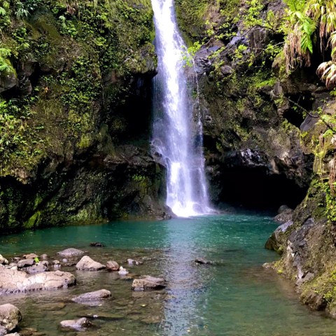 Waterfall cascading into a rocky pool surrounded by lush greenery.