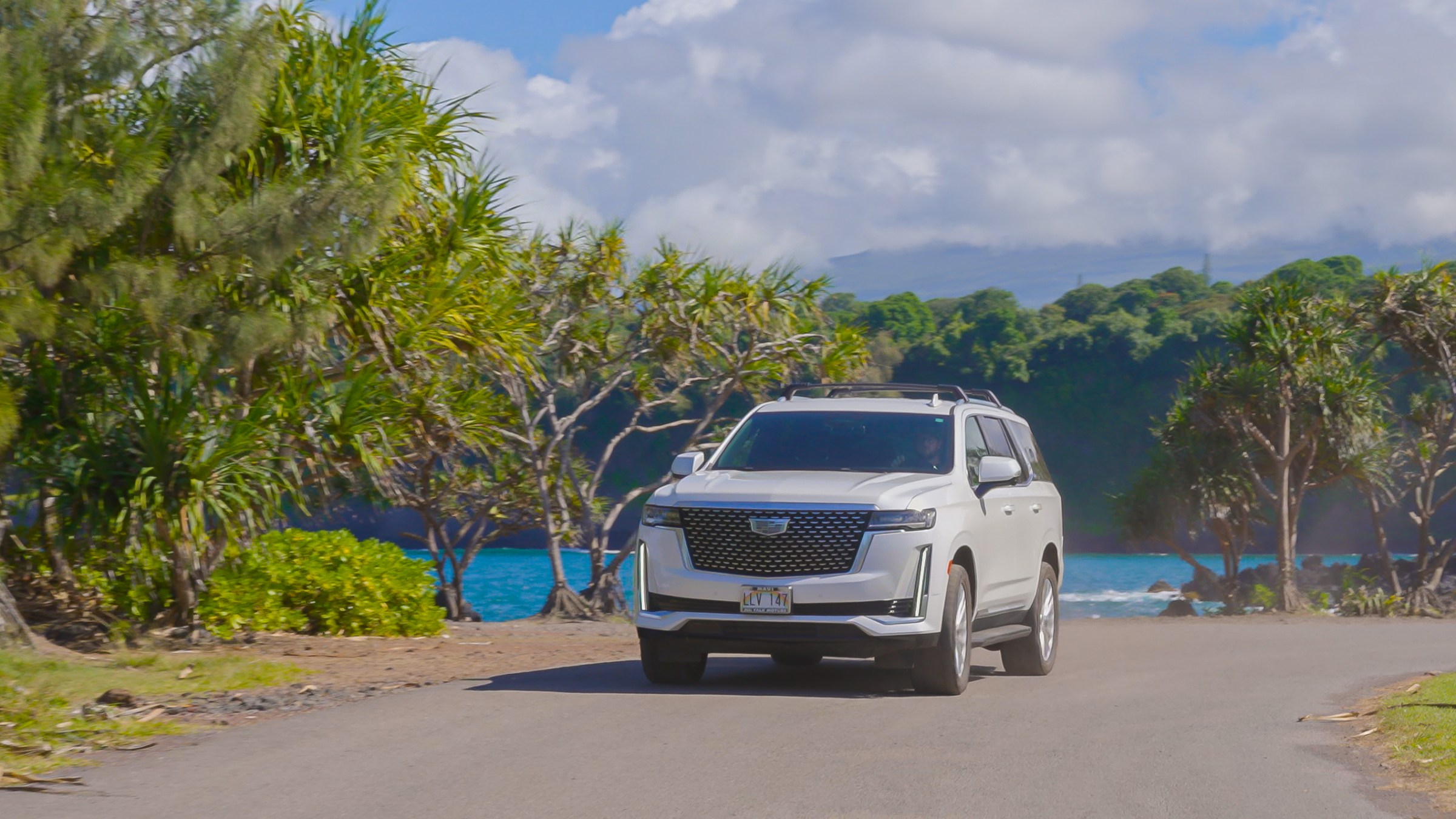 White SUV driving on a scenic road near the ocean with trees.