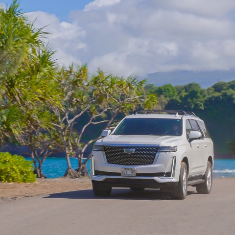 White SUV driving on a scenic road near water and trees.