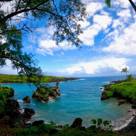 Tropical coastline with blue ocean, rocky shore, lush greenery, and palm trees under a partly cloudy sky.