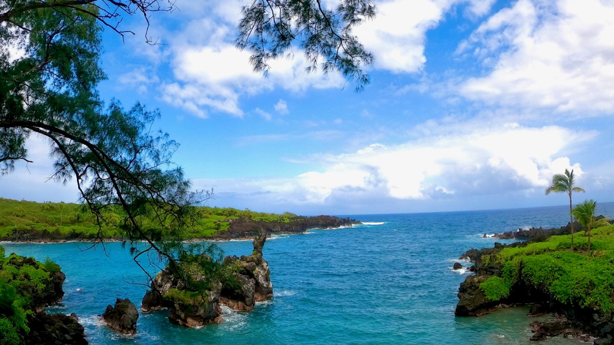 Tropical coastline with blue ocean, rocky shore, lush greenery, and palm trees under a partly cloudy sky.