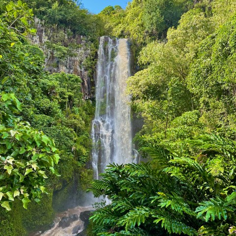 Waterfall cascading down lush green forest under a clear blue sky.