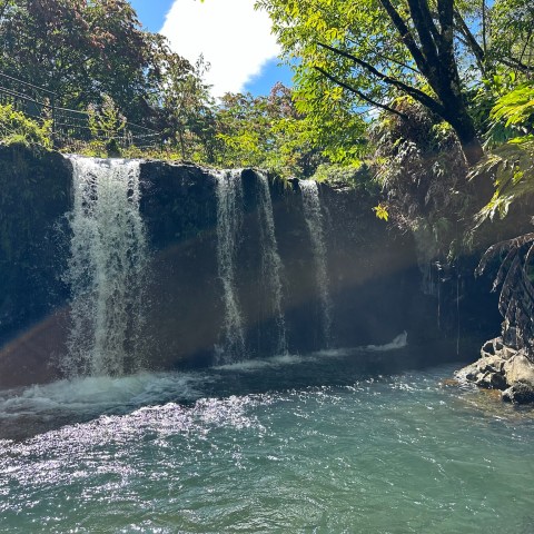 Small waterfall cascading into a forested pool with sunlight filtering through trees.