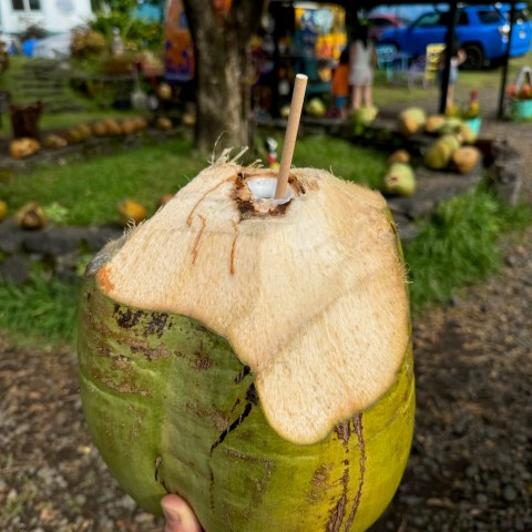 Hand holding a fresh coconut with straw, outdoor market setting.