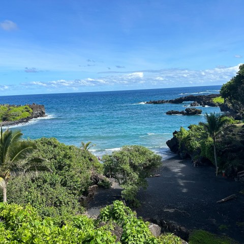 Tropical beach with black sand, lush greenery, and blue ocean.