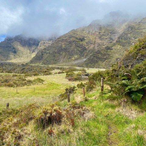 Path through grassy field with mountains and cloudy sky in background.