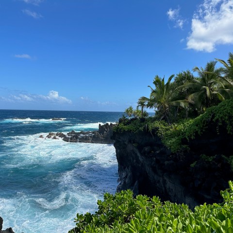 Ocean waves crash on rocky shore with lush green palm trees and clear blue sky.