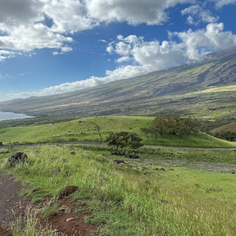 Lush green hills under a cloudy blue sky, with distant mountains and a coastline.
