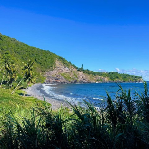 Lush green hillside overlooking a scenic beach and ocean view.