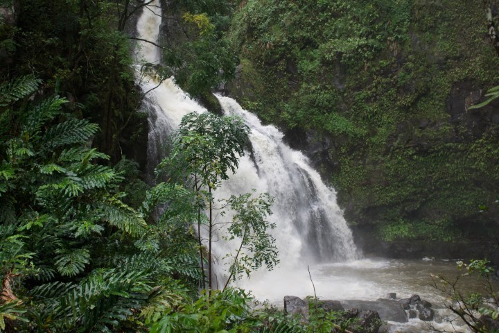 Waterfall cascading through lush green forest foliage.