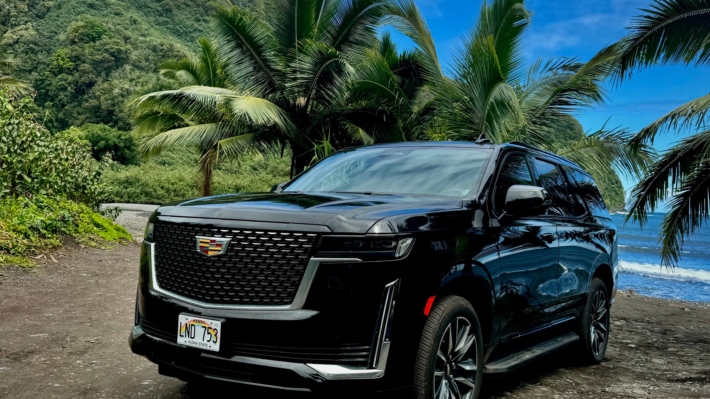 Black SUV parked by palm trees near the ocean.