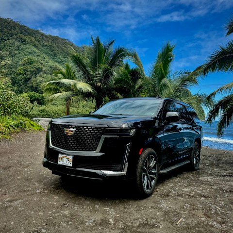 Black SUV parked by palm trees near the ocean.