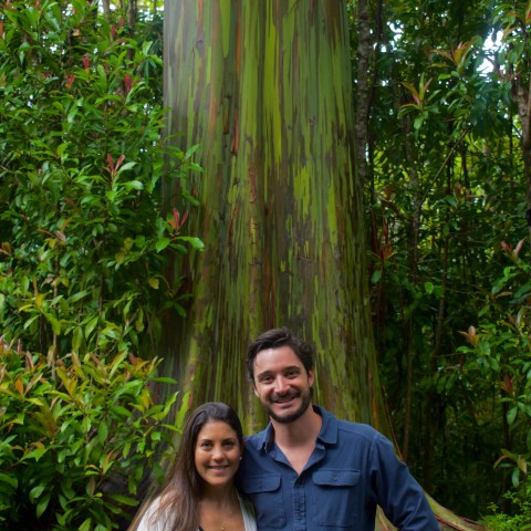 Two people standing in front of a large, colorful tree trunk in a forest.